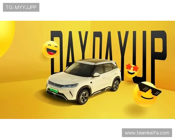 k8凯发官网登录入口稳定性分析，确保每次登录顺畅无阻