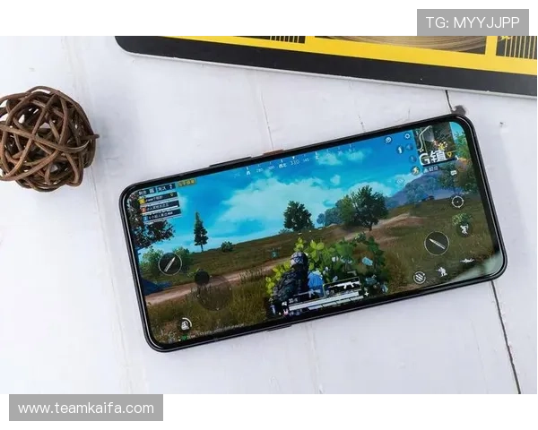 全面解析K8凯发入口的多种登录方式与常见问题解决方案,提升游戏体验 全面解析K8凯发入口的多种登录方式与常见问题解决方案,提升游戏体验